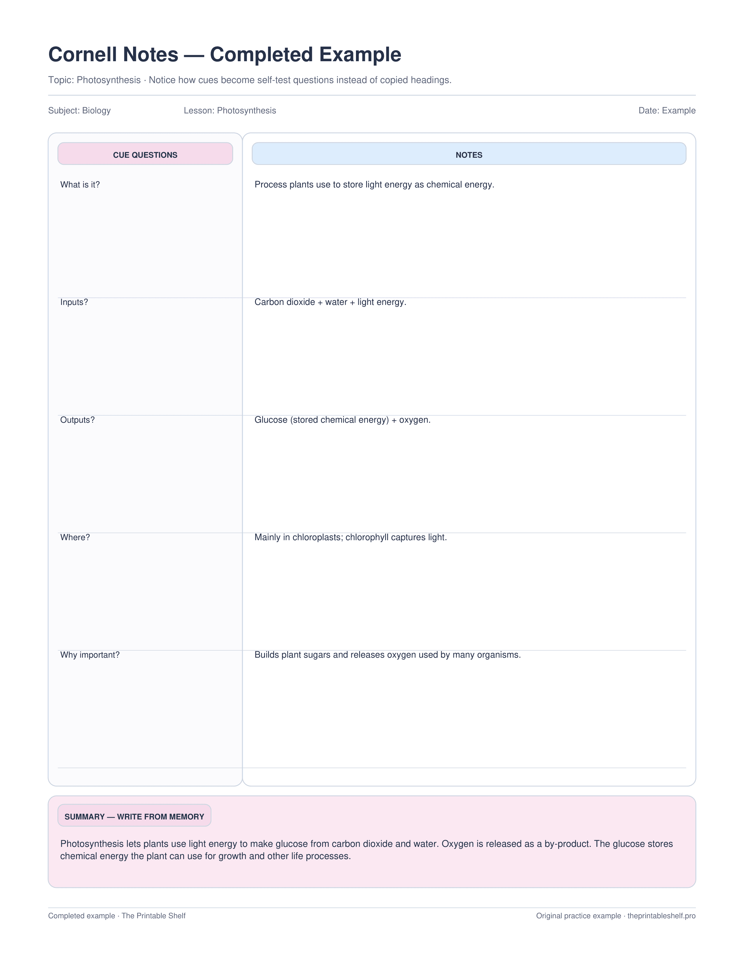 Completed Cornell notes example about photosynthesis with cue questions notes and a summary